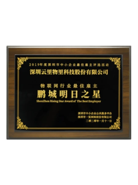 最佳雇主鹏城明日之星