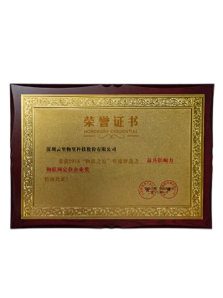 最具影响力物联网定位企业奖