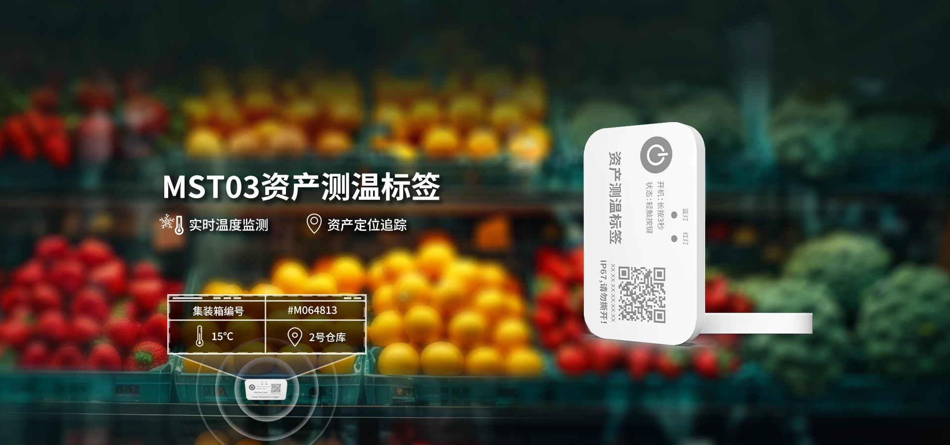 MST03 资产测温标签