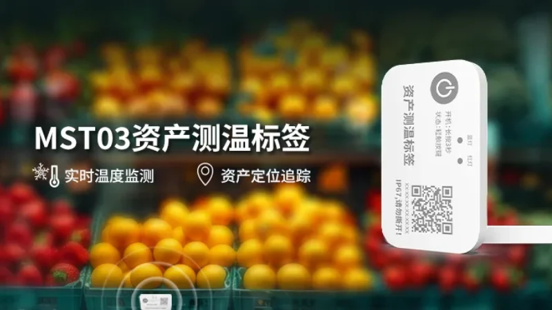 MST03资产测温标签严守货物品质