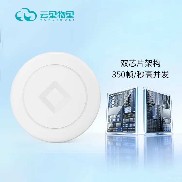 双芯片协同提高并发量